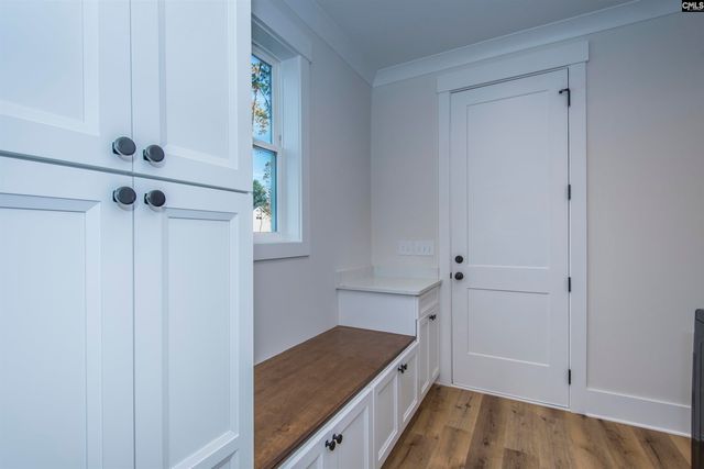 530 Misty Banks Drive, Chapin, SC 29036