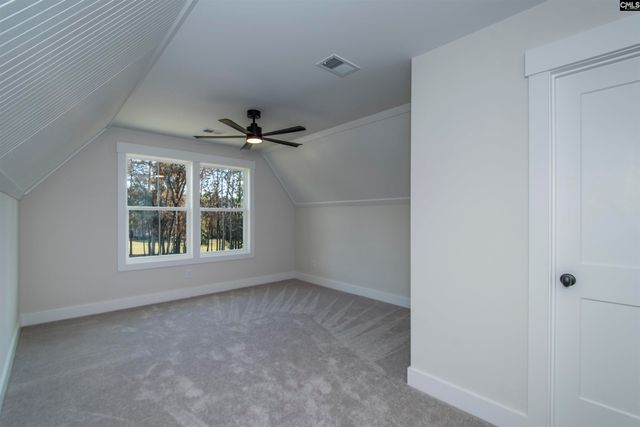 530 Misty Banks Drive, Chapin, SC 29036