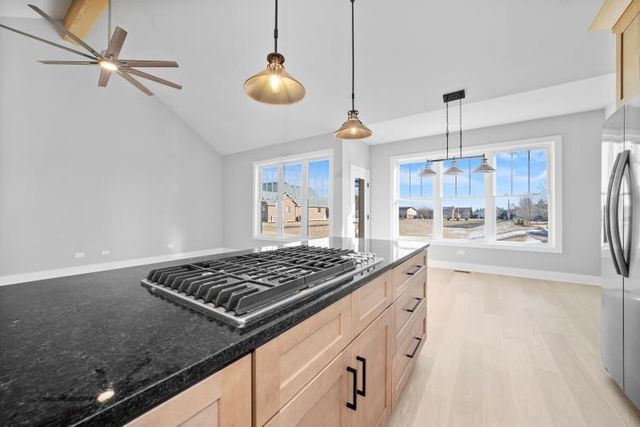 19507 FOXFORD Lane, Mokena, IL 60448