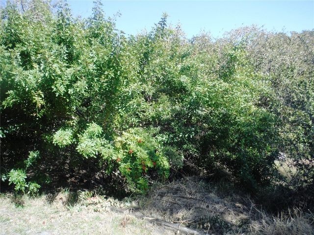 98 SUGAR BEAR DRIVE 57, Safety Harbor, FL 34695