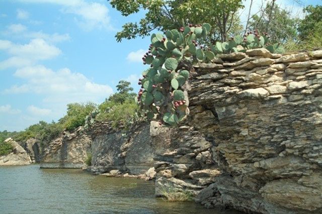 203 Evans Street, Lake Bridgeport, TX 76426