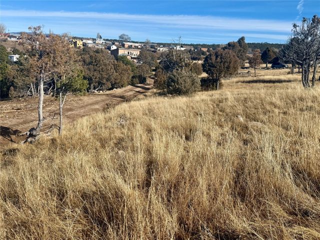 82 Private Drive 1305, Truchas, NM 87578
