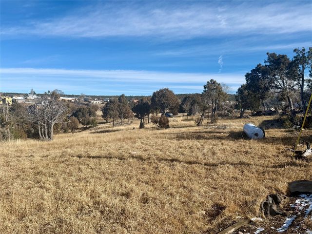 82 Private Drive 1305, Truchas, NM 87578