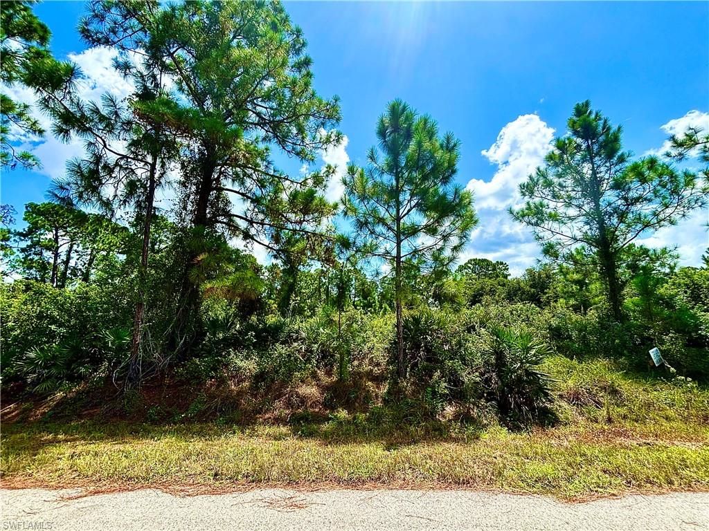 1198 Pine AVE, LEHIGH ACRES, FL 33972 — exterior