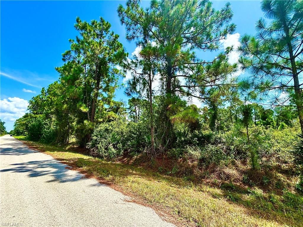 1198 Pine AVE, LEHIGH ACRES, FL 33972 — photo 3