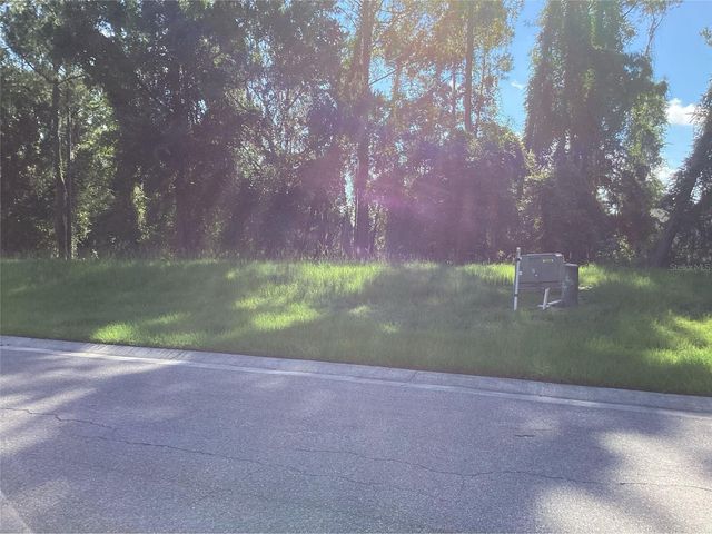 4625 MAJESTIC HILLS LOOP, Brooksville, FL 34601