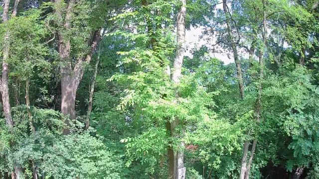 15 Th Avenue 50-51, Chattanooga, TN 37404