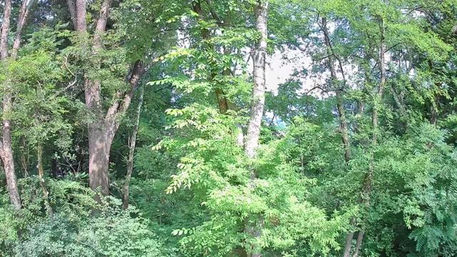 15 Th Avenue 50-51, Chattanooga, TN 37404