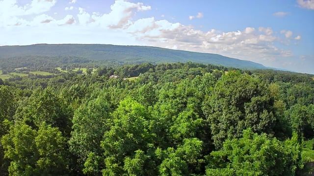 15 Th Avenue 50-51, Chattanooga, TN 37404