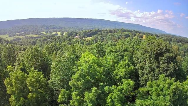 15 Th Avenue 50-51, Chattanooga, TN 37404