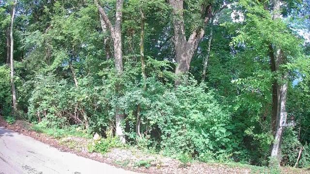 15 Th Avenue 50-51, Chattanooga, TN 37404