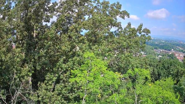 15 Th Avenue 50-51, Chattanooga, TN 37404
