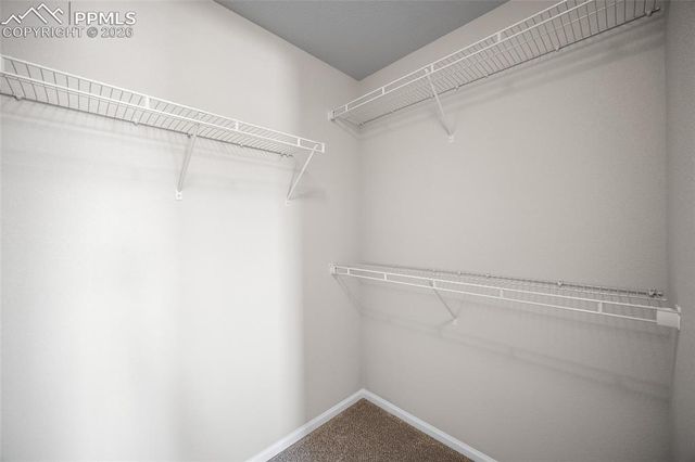 1955 Abbington Street, Colorado Springs, CO 80910