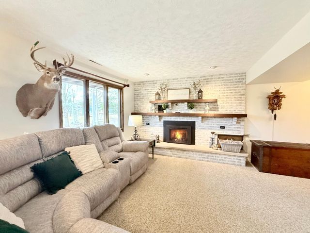 705 Timberline Drive SE, Oronoco, MN 55960