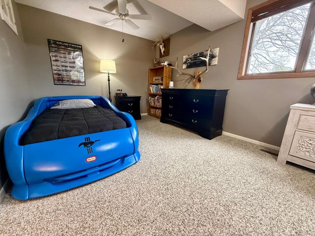 705 Timberline Drive SE, Oronoco, MN 55960