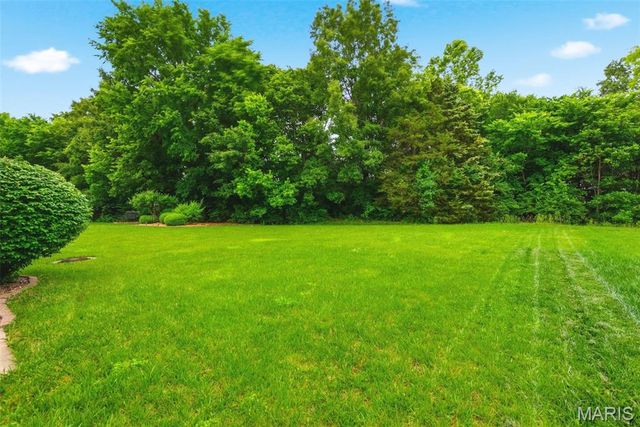 539 Donna Marie Drive, Wentzville, MO 63385