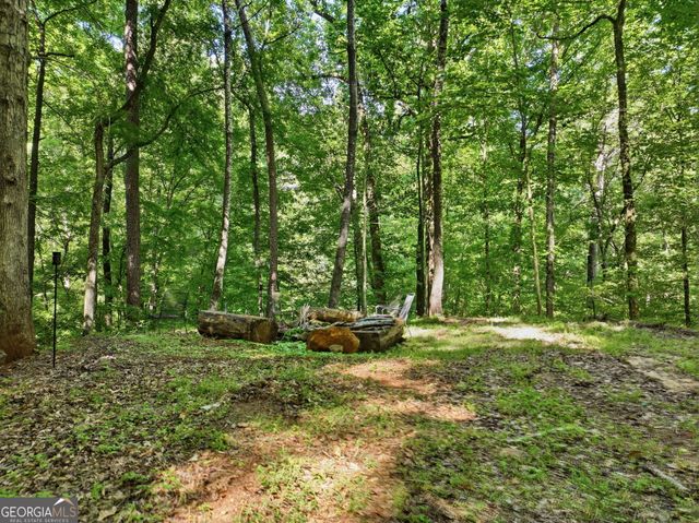 6875 Colaparchee Road, Macon, GA 31210