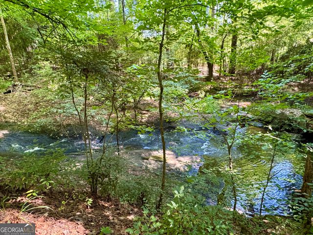 6875 Colaparchee Road, Macon, GA 31210
