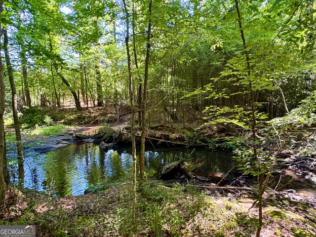 6875 Colaparchee Road, Macon, GA 31210