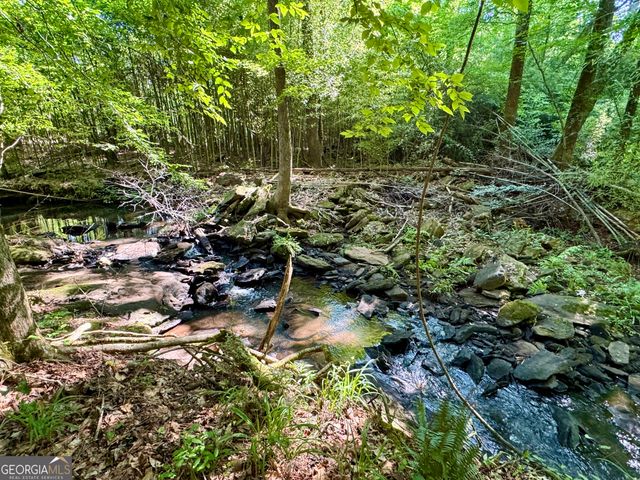 6875 Colaparchee Road, Macon, GA 31210
