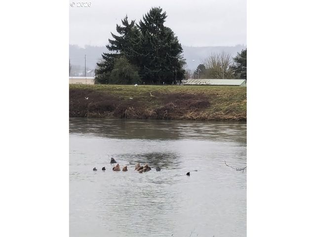 2068 S RIVER Rd, Kelso, WA 98626