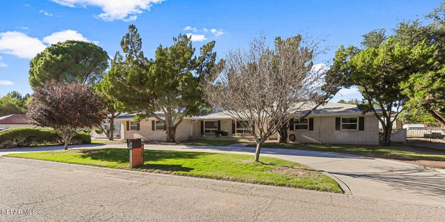 717 LIVE OAK Drive, El Paso, TX 79932
