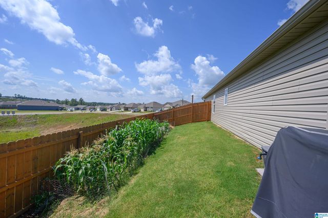 330 AMBER AVENUE, Calera, AL 35040