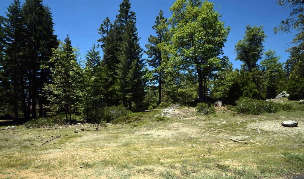 Image 2 of property listing at 42884 Garnet Lane Lot37, Shaver Lake, CA 93664