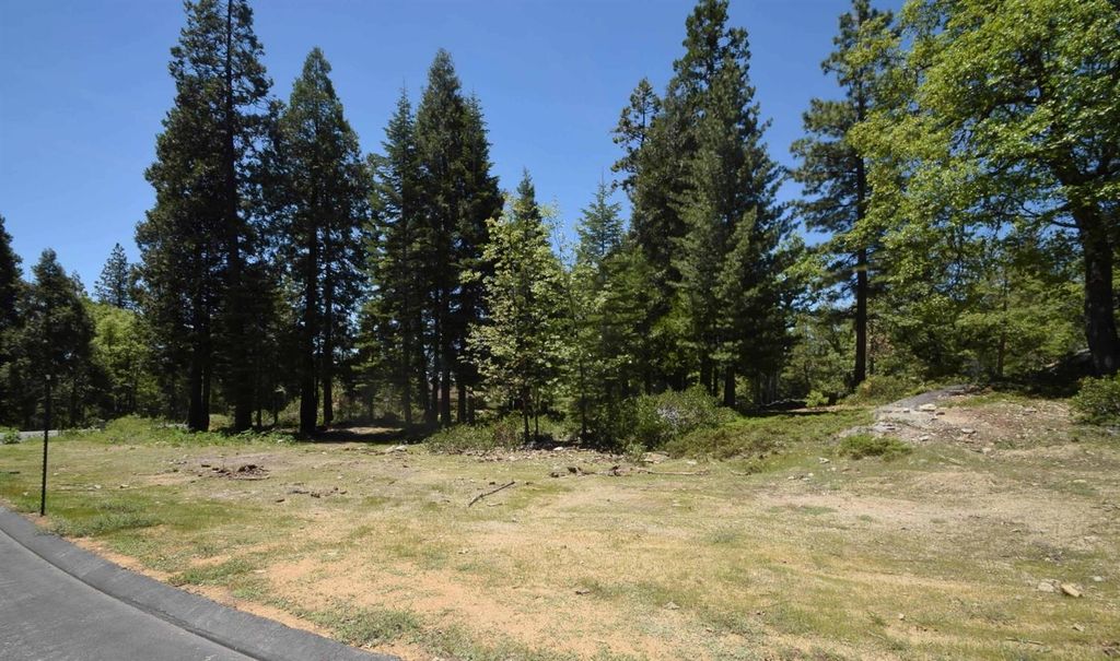 Image 3 of property listing at 42884 Garnet Lane Lot37, Shaver Lake, CA 93664
