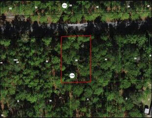 898 W BANNISTER DRIVE, Citrus Springs, FL 34434