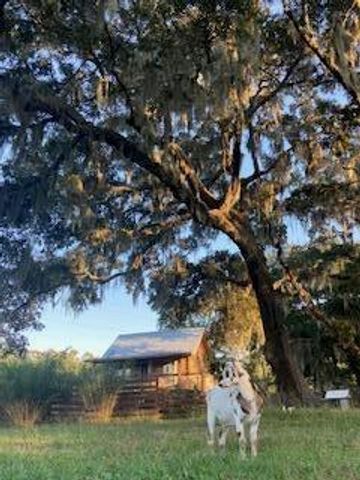 1661 Lonnie Taylor Lane, Wadmalaw Island, SC 29487