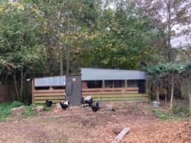 1661 Lonnie Taylor Lane, Wadmalaw Island, SC 29487