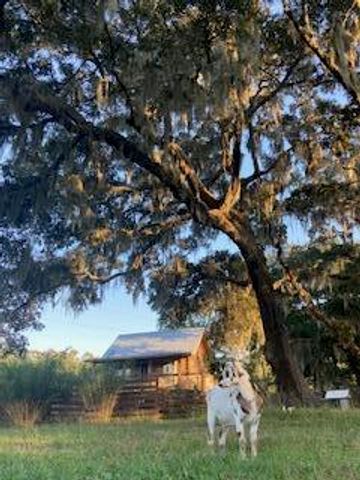 1661 Lonnie Taylor Lane, Wadmalaw Island, SC 29487