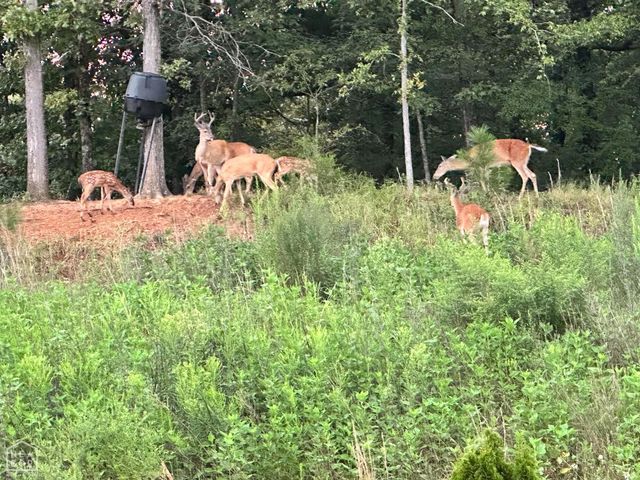 3420 Lake Pointe Drive, Jonesboro, AR 72404