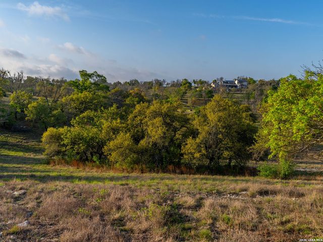 77 Last Trl, Fredericksburg, TX 78624