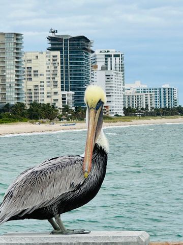 750 N OCEAN Boulevard 1202, Pompano Beach, FL 33062