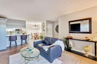 259 Capitol Avenue 163, San Jose, CA 95127