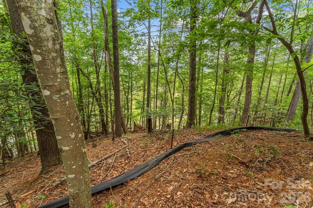 130 Settlement Ridge Drive 48, Marion, NC 28752
