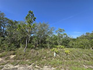 112 TENCH DRIVE, Kissimmee, FL 34759