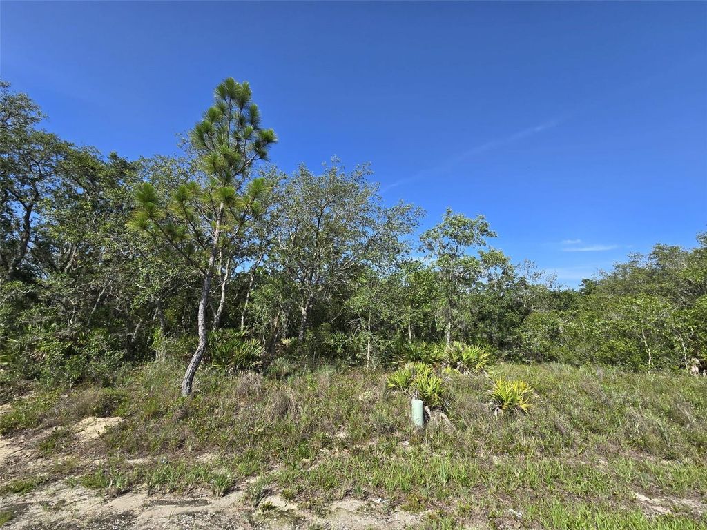 112 TENCH DRIVE, Kissimmee, FL 34759