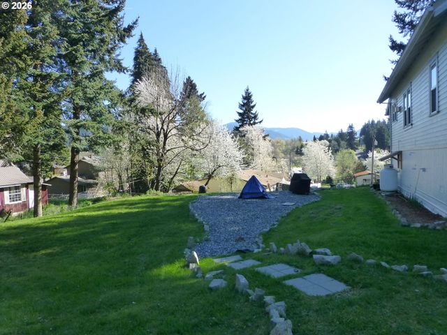 51 WILKINSON St, Carson, WA 98610