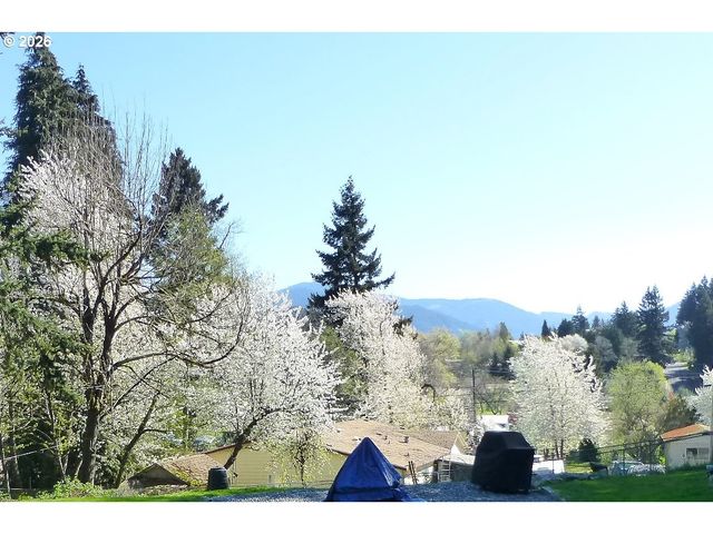 51 WILKINSON St, Carson, WA 98610
