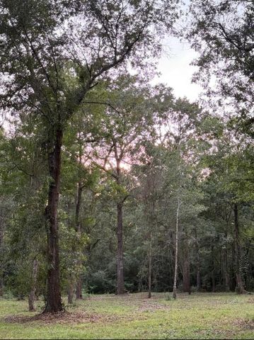 26164 Grand Pines Road, Magnolia, TX 77355