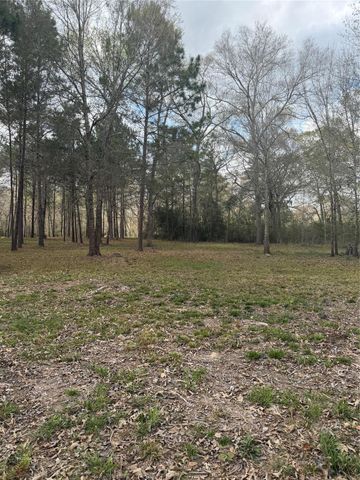 26164 Grand Pines Road, Magnolia, TX 77355