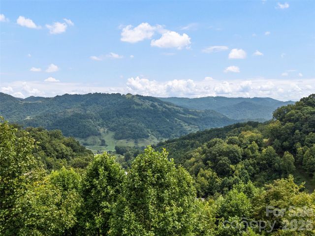 1225 Clark Road, Clyde, NC 28721