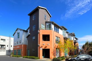 426 1st St, Petaluma, CA 94952