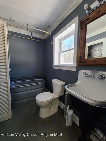 123 Wildwood Way, Forestburgh, NY 12777