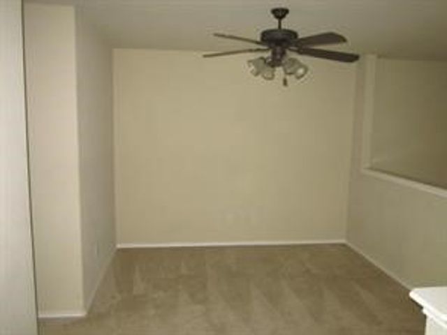 1163 Sophia Street, Allen, TX 75013