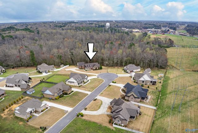 175 Glenview Drive, Albertville, AL 35950