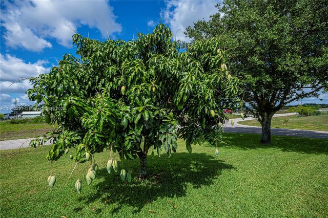 1115 Comet Ave, La Belle, FL 33935